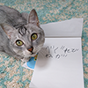 べぐれでねがロゴ